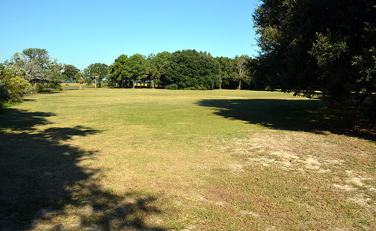 lots of grass at Brittlebank park, Charleston SC