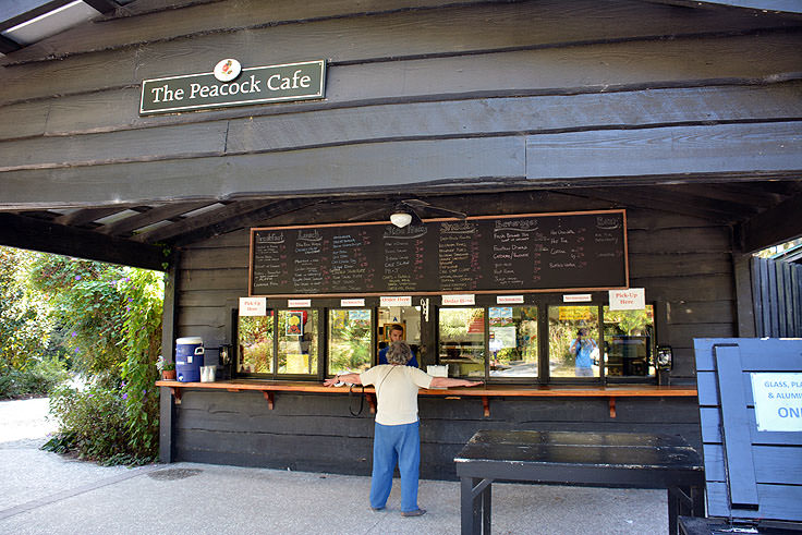The Peacock cafe at Magnolia Plantation in Charleston, SC