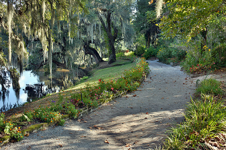 A garden path at Magnolia Plantation in Charleston, SC