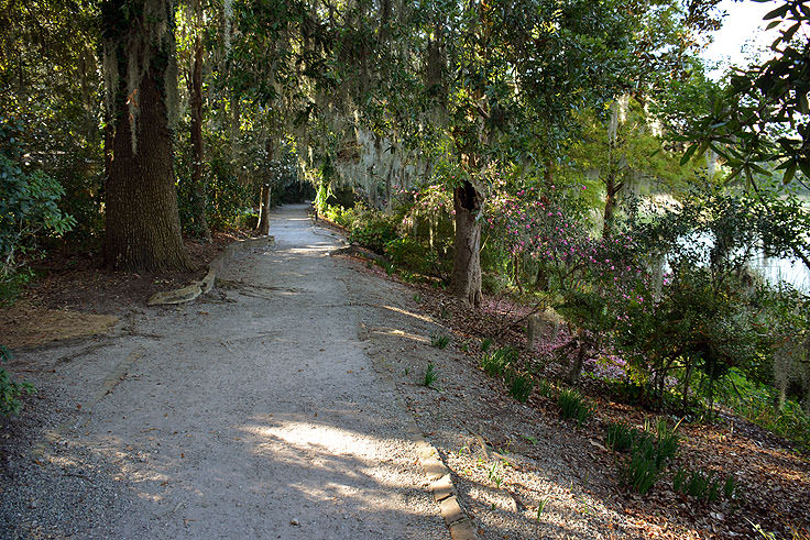 A walking path at Magnolia Plantation in Charleston, SC