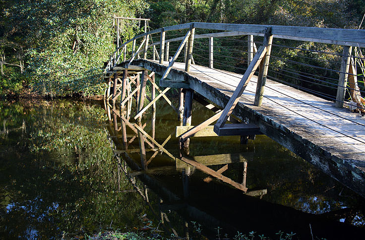 Footbridge in Middleton Place Plantation in Charleston, SC