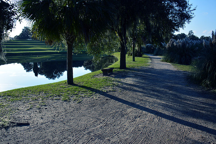 A walking path at Middleton Place Plantation in Charleston, SC