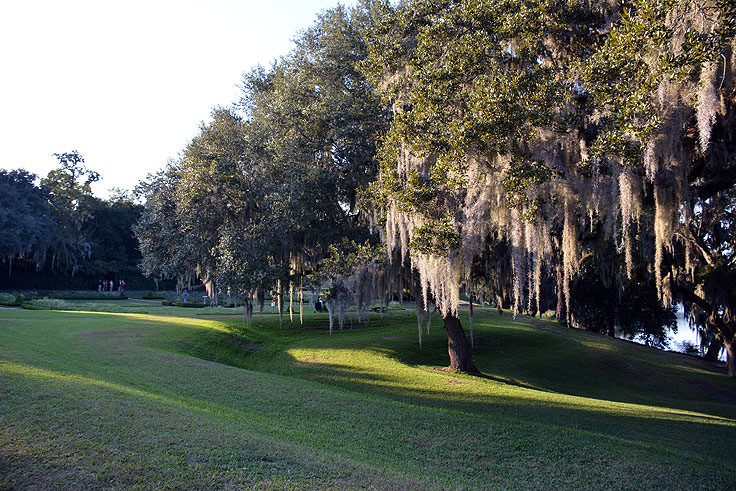 The grounds of Middleton Place Plantation in Charleston, SC