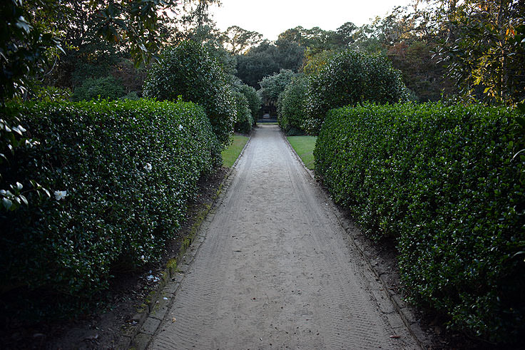 Formal gardens at Middleton Place Plantation in Charleston, SC