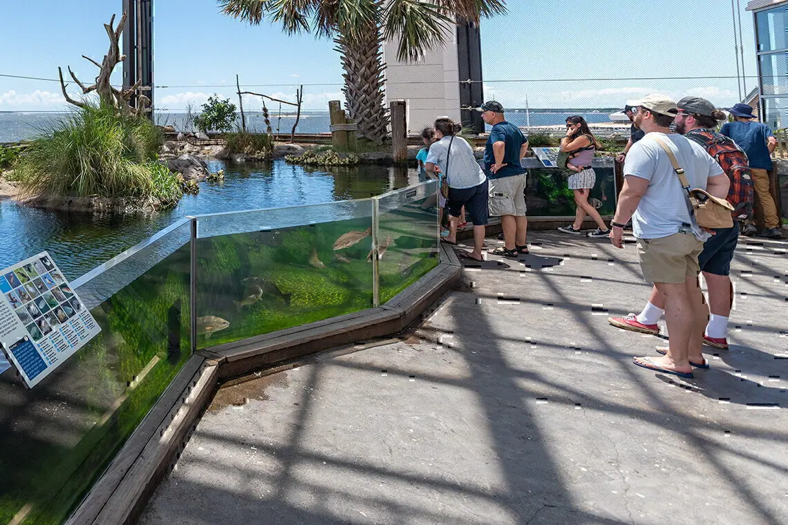 South Carolina Aquarium
