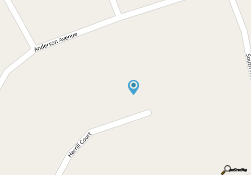 Private 90 minute Dolphin Tour map location