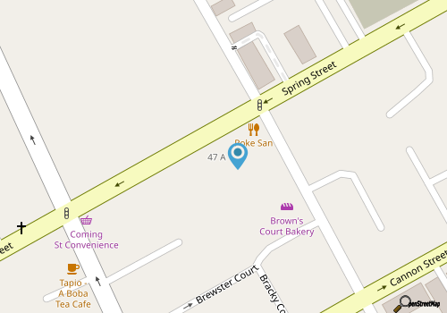 Newly-renovated home in downtown Charleston w/private washer/dryer, free WiFi map location