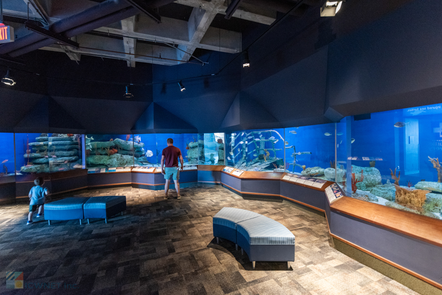 SC Aquarium Charleston