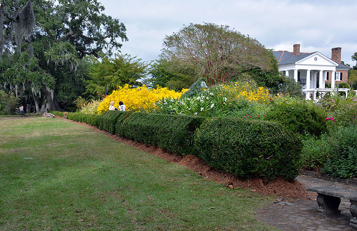 Gardens at Boone Hall Plantation, Mt. Pleasant, SC