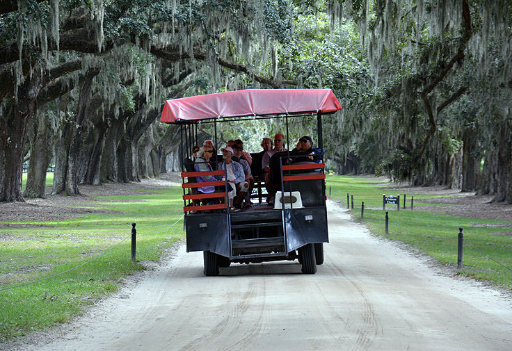 Riding the trolley under live oaks at Boone Hall Plantation, Mt. Pleasant, SC