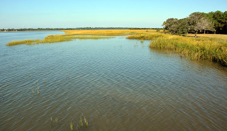 Brittlebank park, Charleston SC