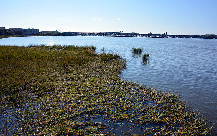 A view from Brittlebank park, Charleston SC