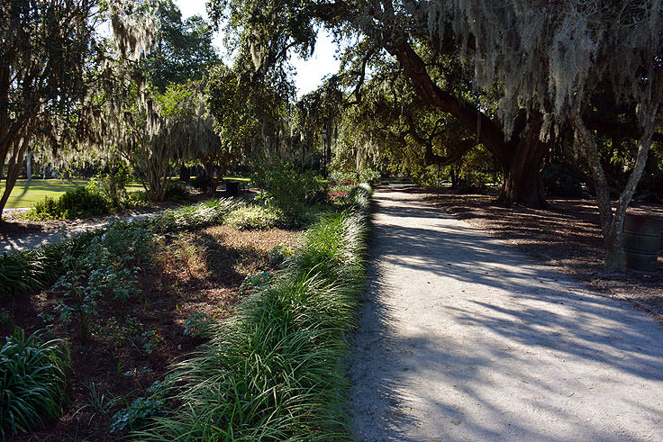 Hampton Park in Charleston, SC