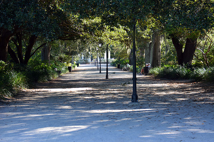 Hampton Park in Charleston, SC