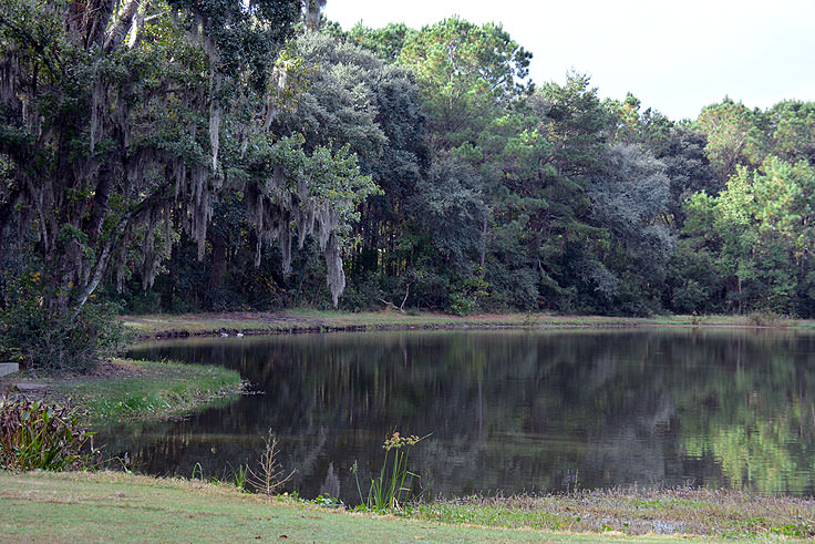 James Island County Park