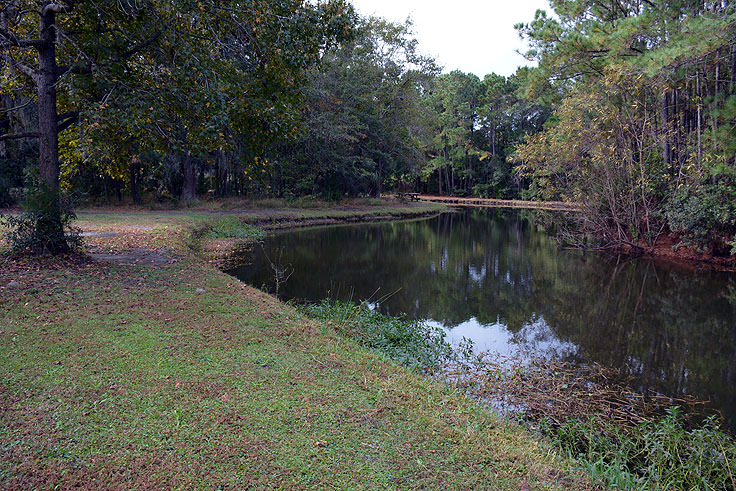 James Island County Park