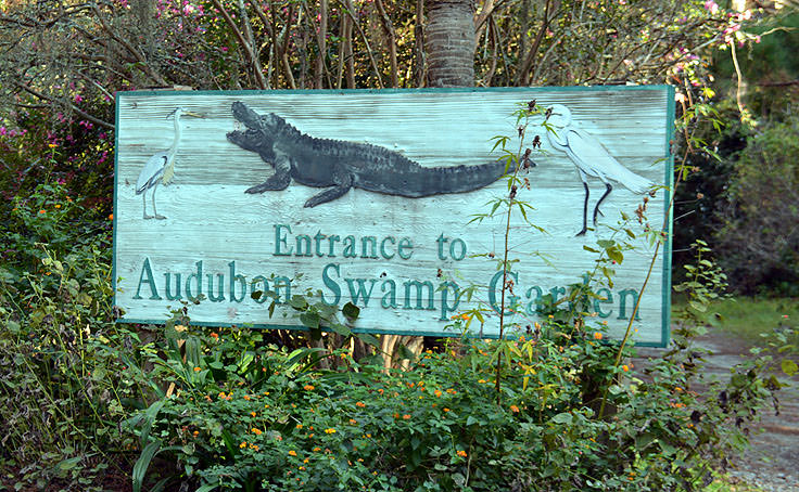 The Audobon Swamp Garden at Magnolia Plantation in Charleston, SC