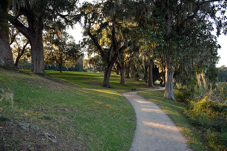 A walking path at Middleton Place Plantation in Charleston, SC