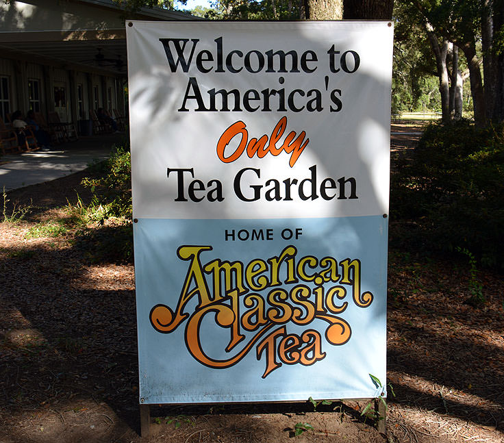 Charleston Tea Plantation