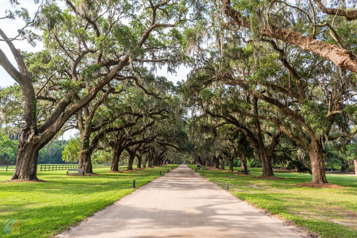 Charleston SC