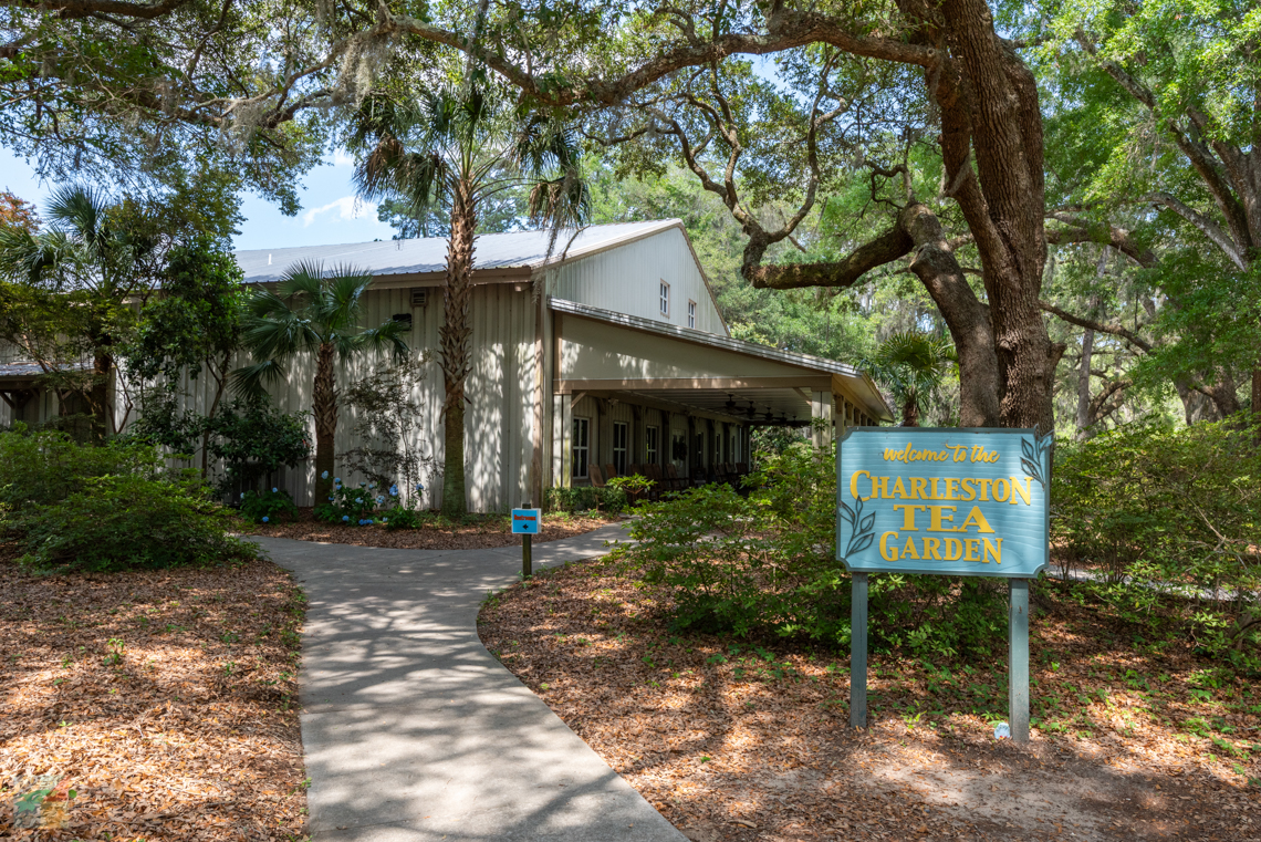 Charleston Tea Garden