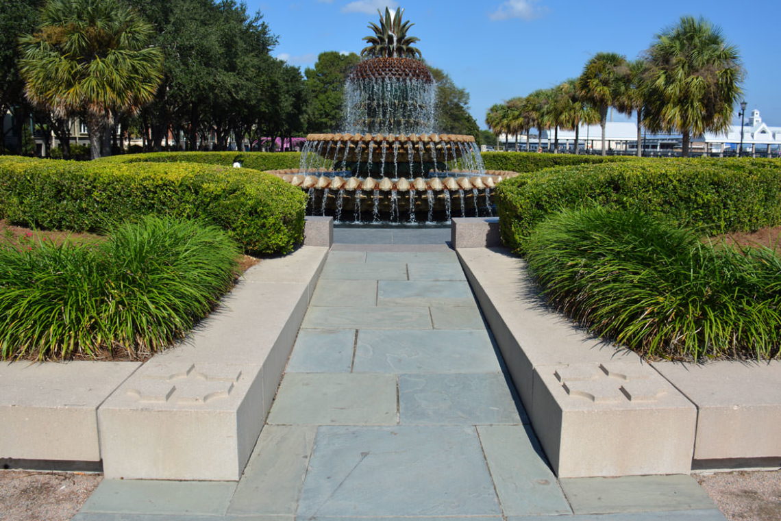 Joe Riley Waterfront Park Wedding