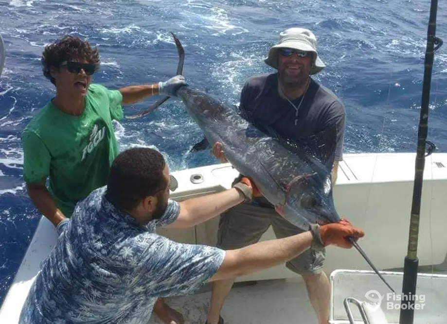 Chase-N-Fins Charters