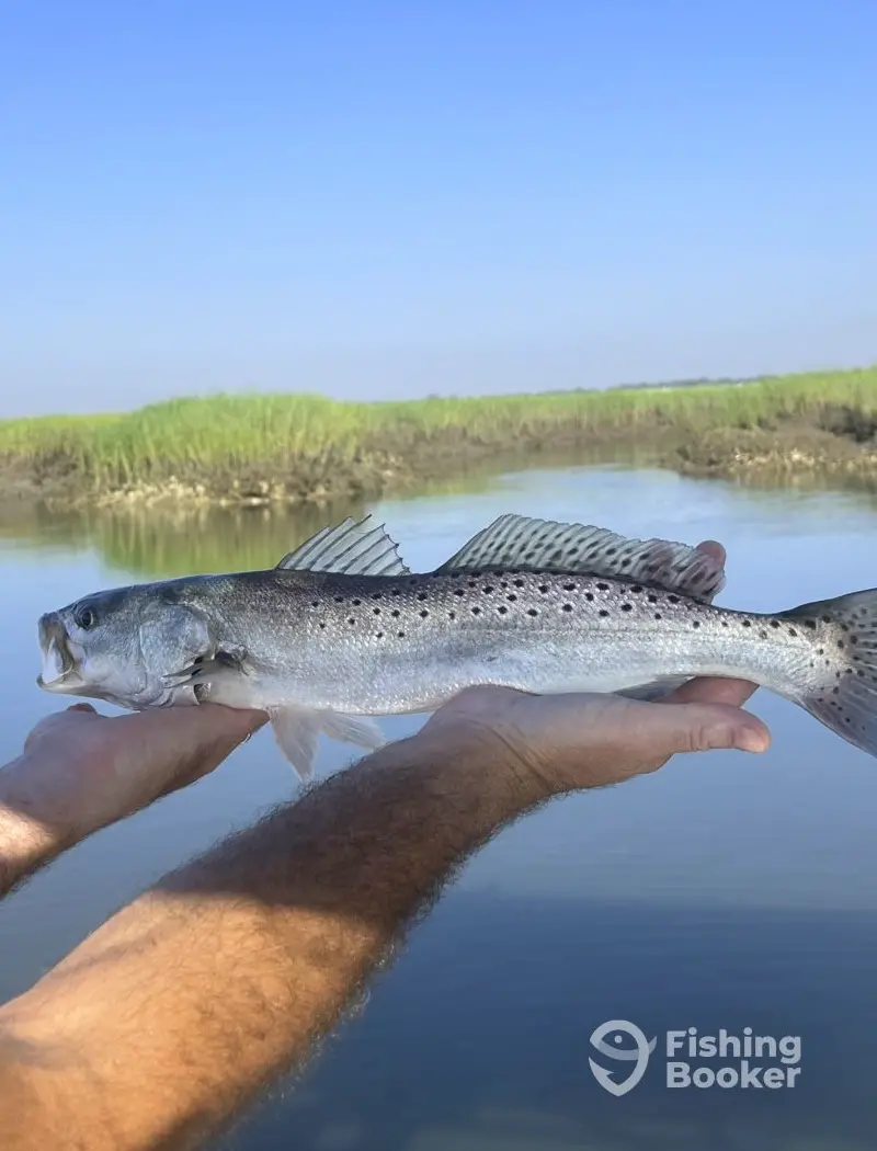 Salty Pelican Charters LLC charter image 3