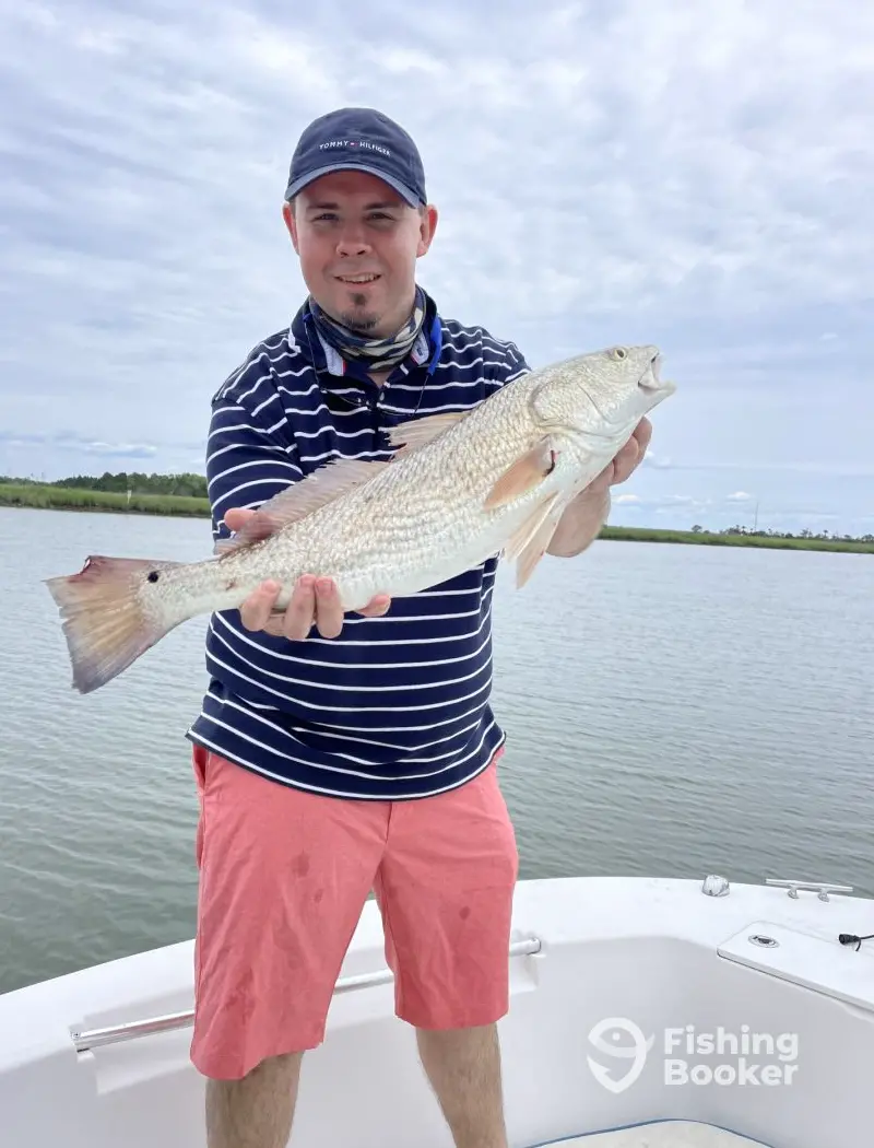 Salty Pelican Charters LLC charter image 4