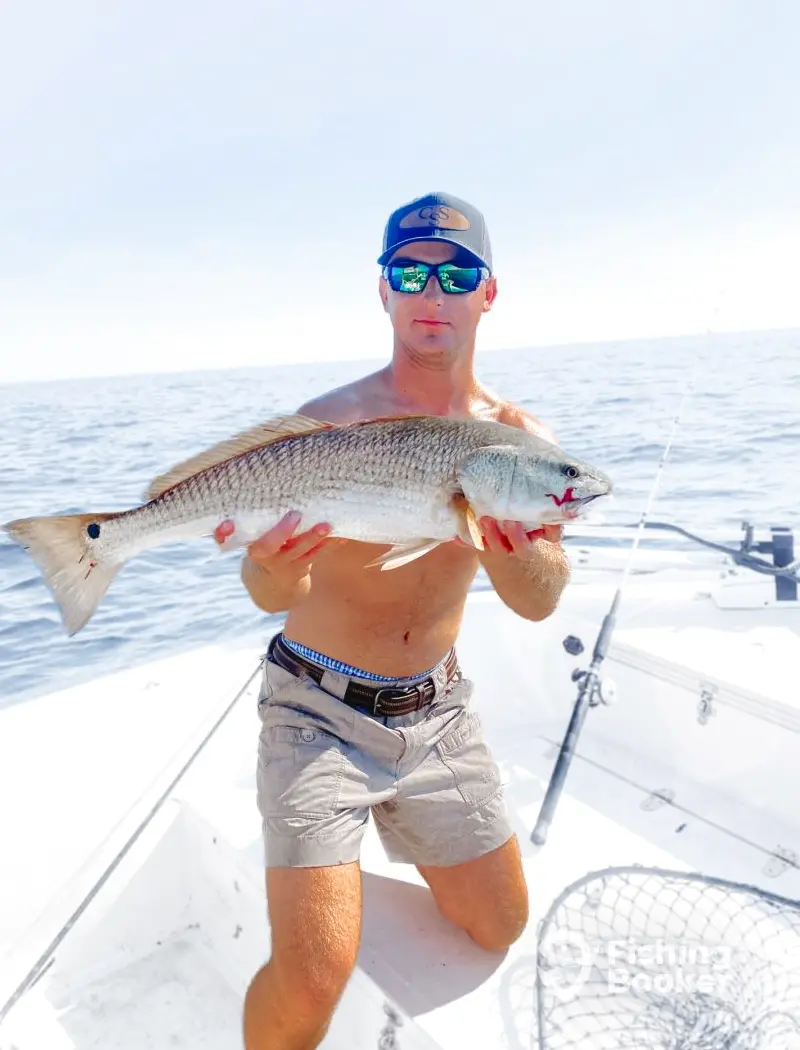 Second Wind Charters charter image 5