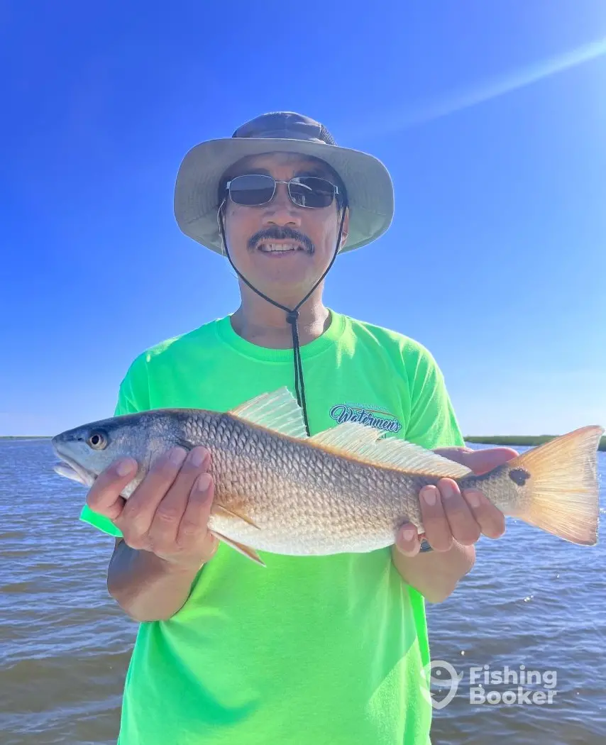 Palm State Fishing Charleston charter image 4