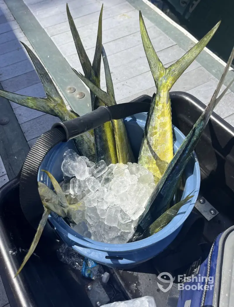 Miss Emily Charters – 29' CC charter image 3