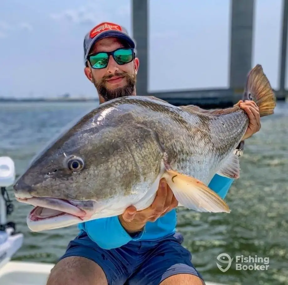 IllumiNauti Fishing Charters LLC charter image 6