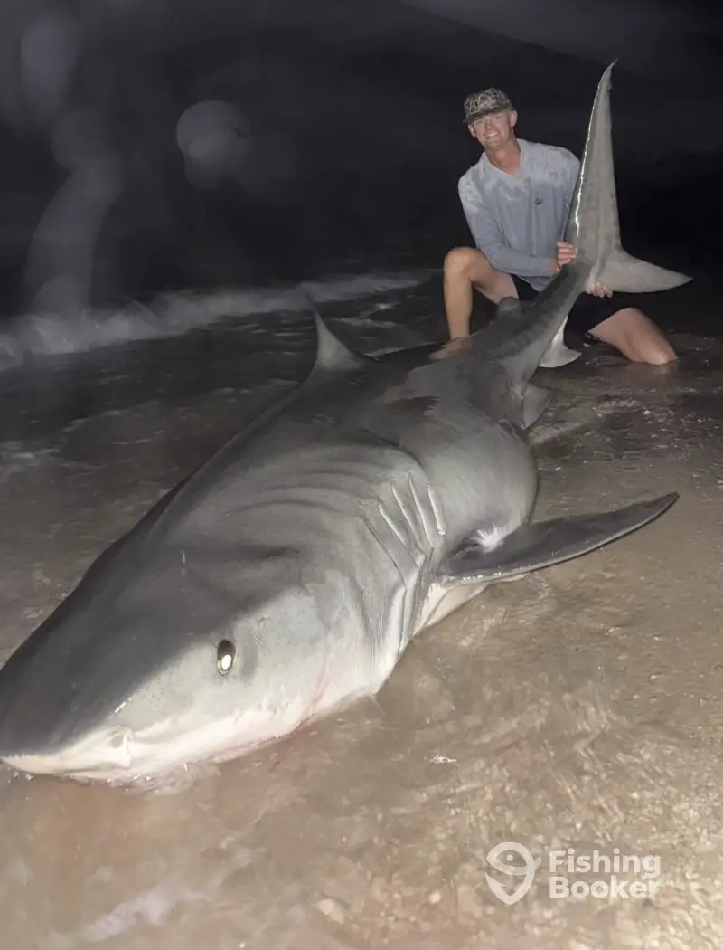 Shoreline Sharkin charter image 3