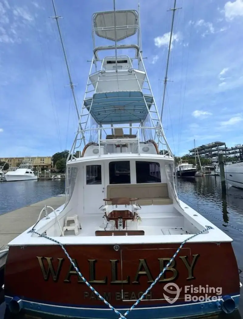 Wallaby charter image 2
