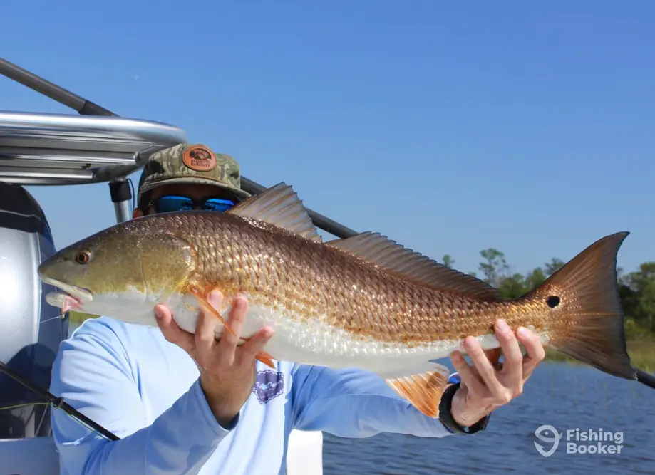Frequent Flyer Fishing Charters charter image 2