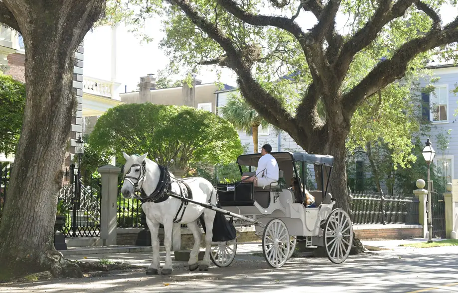 Private Charleston Carriage Tour