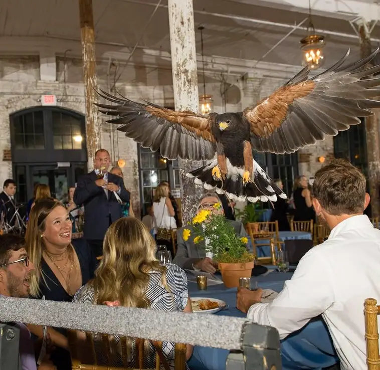 Birds & Brunch at the Bennett