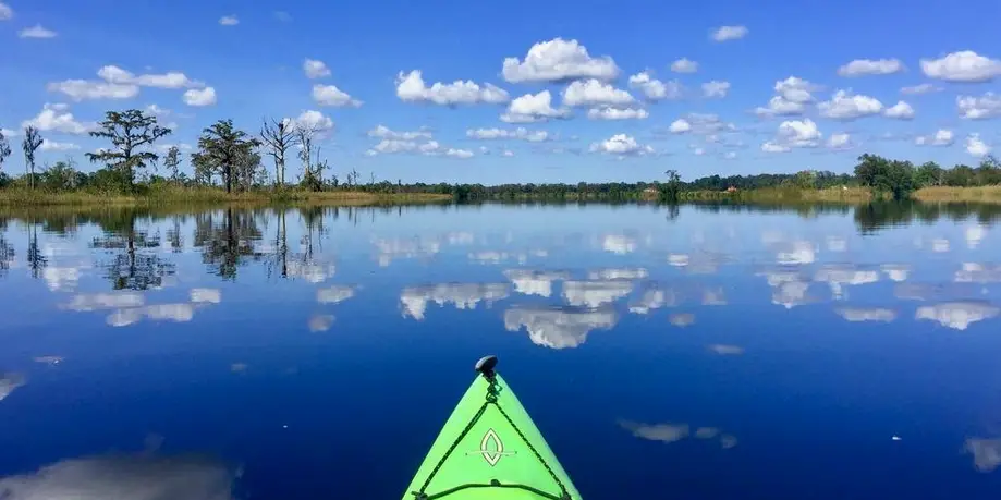 ACE Basin Tour
