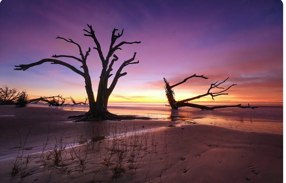 Boneyard Beach Sunrise Adventure