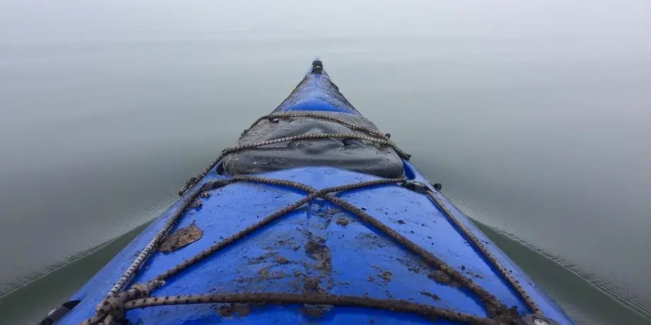 Early Bird Kayak Tour