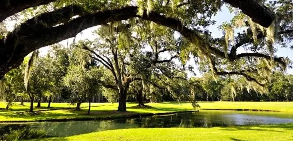 A Day at Drayton Hall