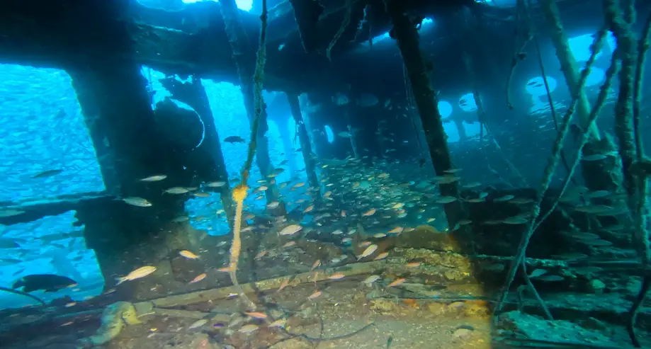 Advanced Open Water Dives