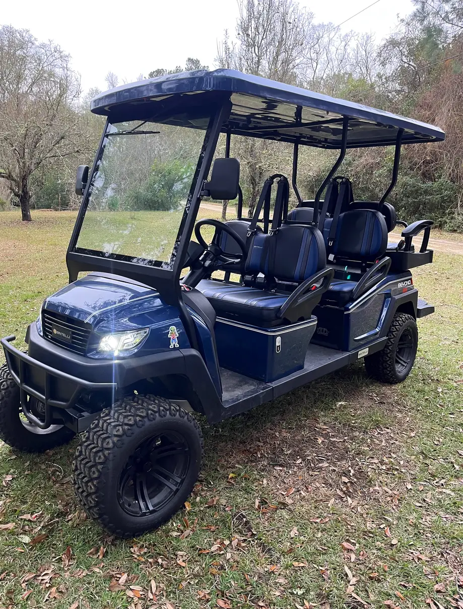 LSV 6 Passenger Cart