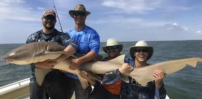 Shark Charters