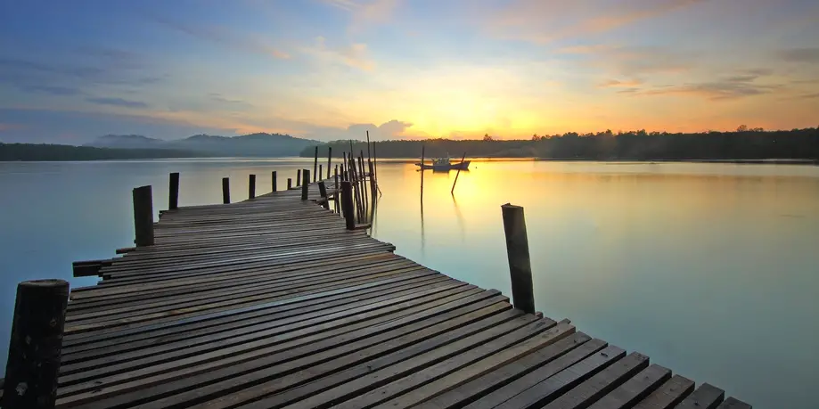 Harbor Tours & Boat Rides
