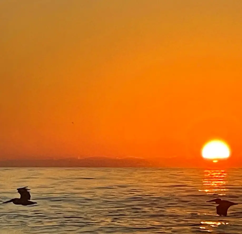 Power Boat Osprey Sunset Cruise