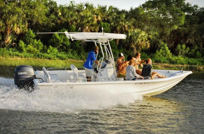 Morning Dolphin Boat Tour on The Sea & The Rose