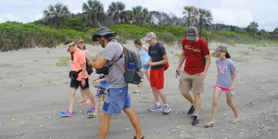 Fossil Hunting Tour