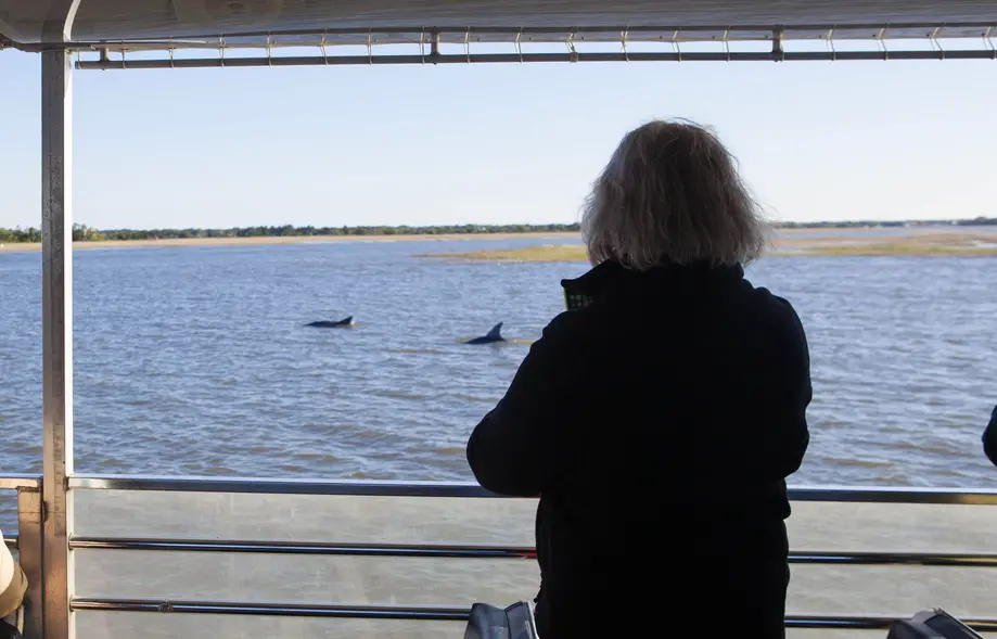 Salt Marsh Creeks and Intracoastal Waterway Loop (Dolphins, Birds, Crabs and more)